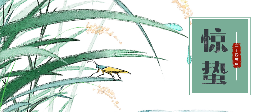 傳統(tǒng)農(nóng)業(yè)的轉(zhuǎn)變?cè)谟诖蛟炜萍?、智能化農(nóng)業(yè)