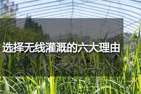 選擇無(wú)線(xiàn)灌溉的六大理由